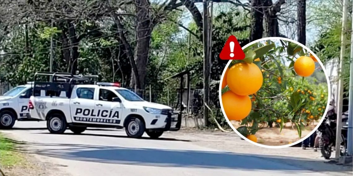 Regios En Mexico - Regios En México - Regios En México