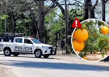 Violencia Golpea A Servidores Públicos En Zona Citrícola De Nuevo León