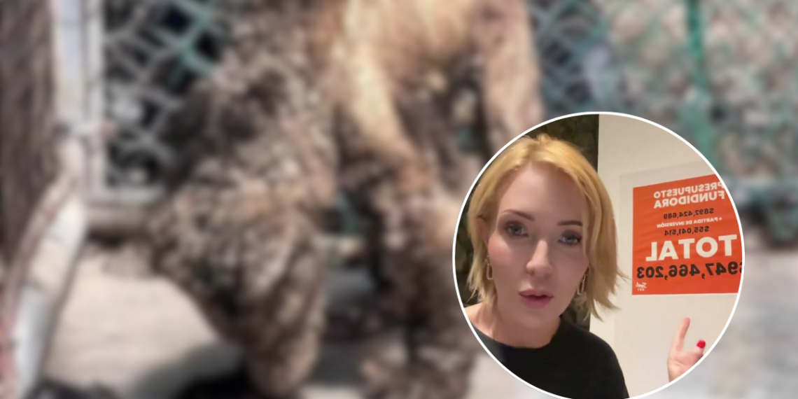 Presupuesto De La Pastora - Regios En México