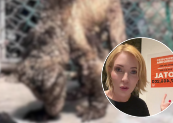 Presupuesto De La Pastora - Regios En México Presupuesto De La Pastora - Regios En México