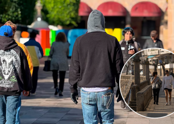 Temperatura En Navidad - Regios En México