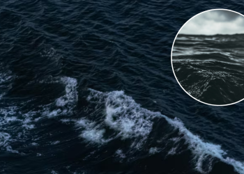 Océano Se Oscurece - Regios En México