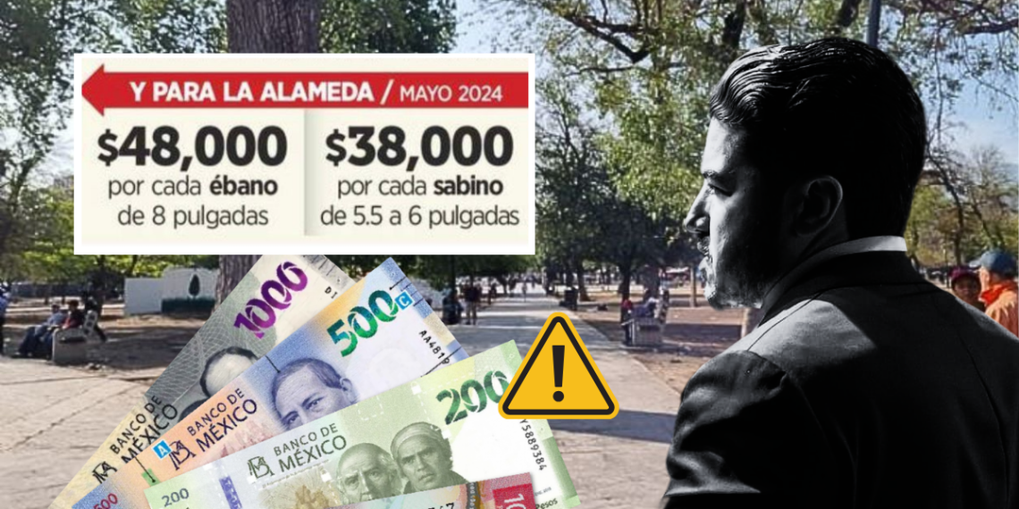 Reforestación Extrema - Regios En México