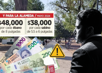 Reforestación Extrema - Regios En México