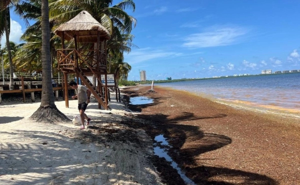 Sema Quintana Roo Es Señalada Por Organizaciones Por Posibles Irregularidades En Evaluaciones Ambientales Y Falta De Transparencia.