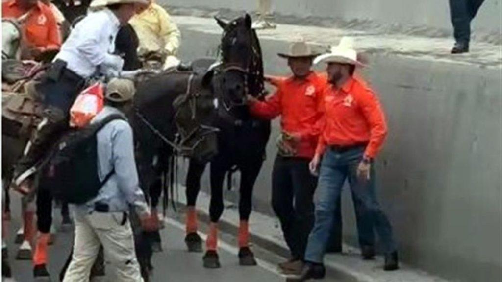 Maltrato-de-animales-en-la-fundidora - Regios En México Caballo De Samuel García Se Desmaya - Regios En México
