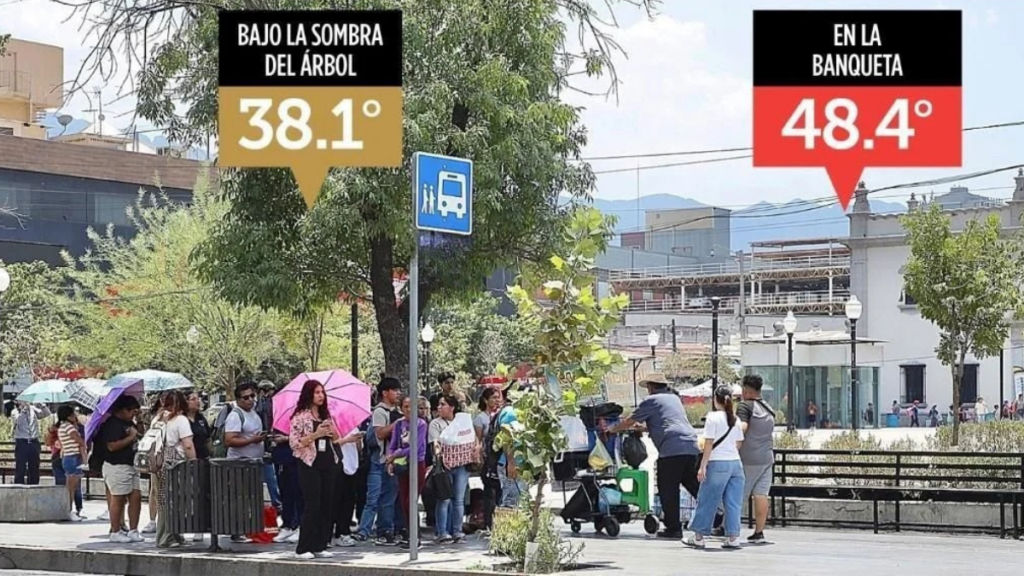 Group of People Waiting at a Bus Stop in a Sunny Plaza; Overlaid Labels Read 'bajo La Sombra Del árbol 38.1°' and 'en La Banqueta 48.4°' - Regios En México