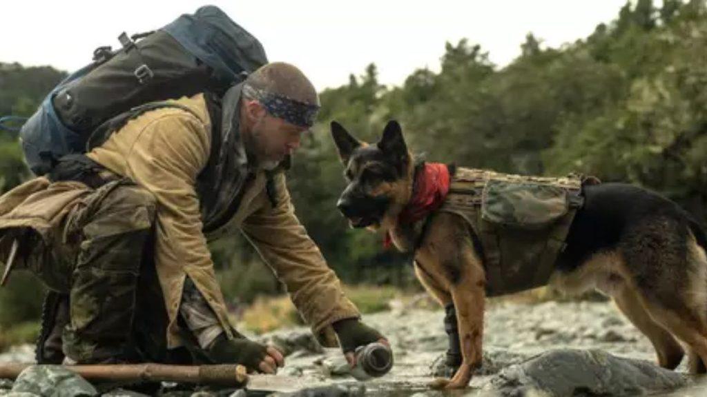 regiosenmexicolanuevapeliculadeBradPitt Regios en México Nueva película de Brad Pitt Regios en México